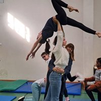Ginastica desportiva 